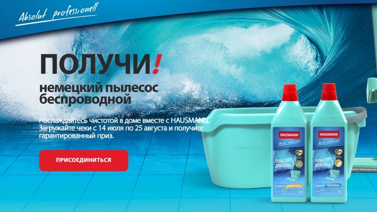 Изображение акции «Hausmann»