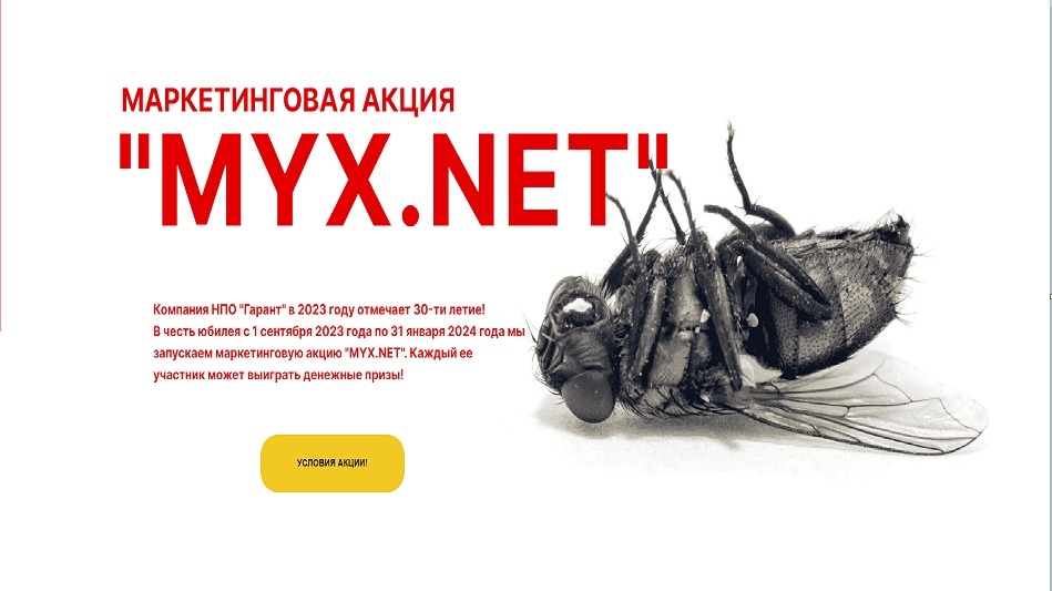 Изображение акции «MYX.NET»