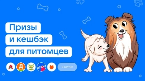 Изображение акции «Категория корма для животных»
