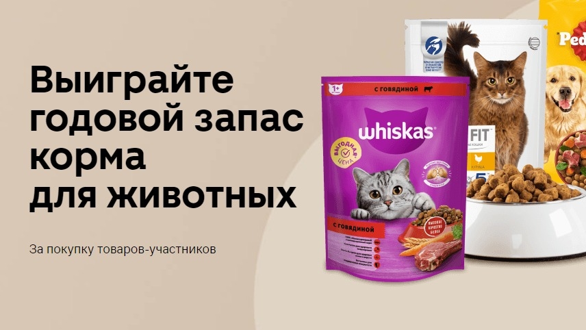 Изображение акции «Годовой запас :: 2024»