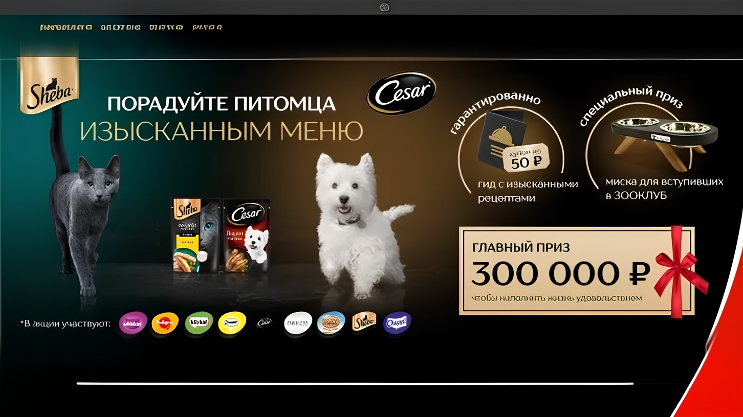 Изображение акции «Порадуйте питомца изысканным меню»