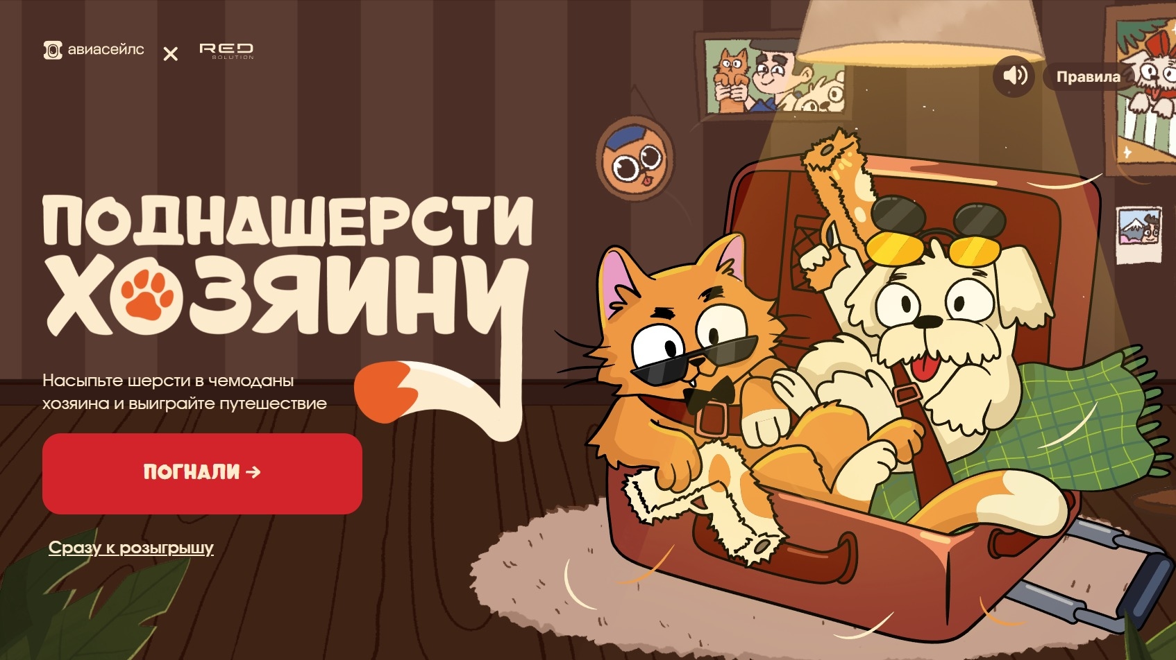 Изображение акции «Шерстяные бандиты»