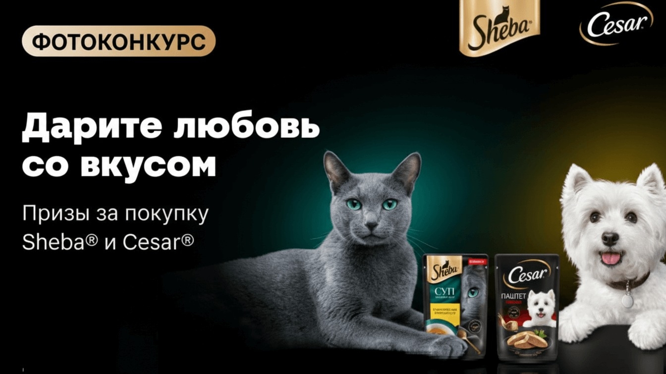 Миниатюра акции «Дарите любовь со вкусом. Призы за покупку SHEBA®  и CESAR®»