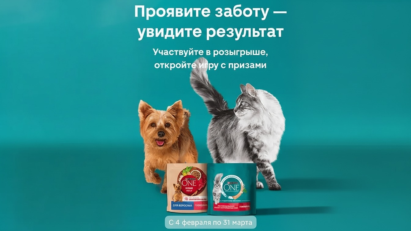 Миниатюра акции «Проявите заботу – увидите результат»