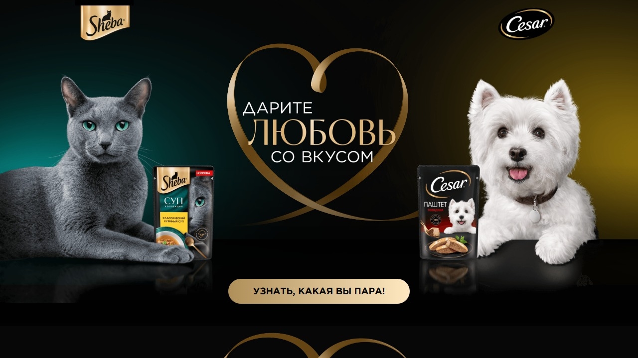 Миниатюра акции «Дарите любовь со вкусом»