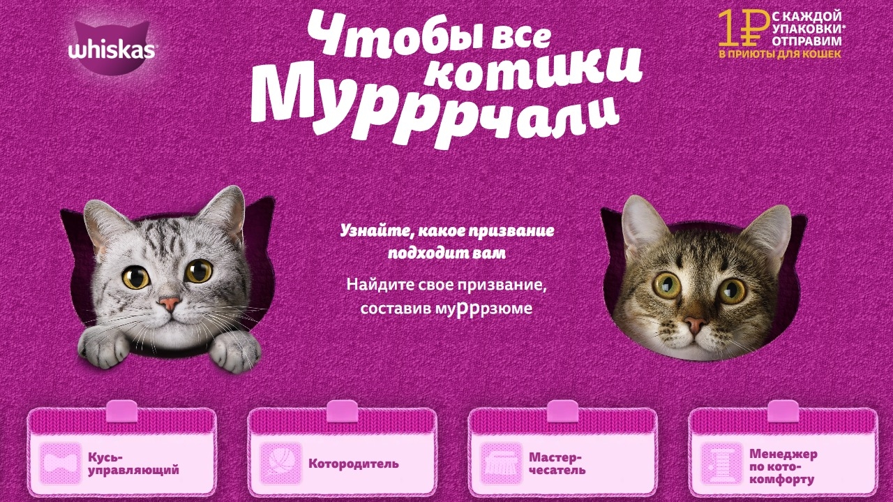 Миниатюра акции «День кошек. Приятная забота!»