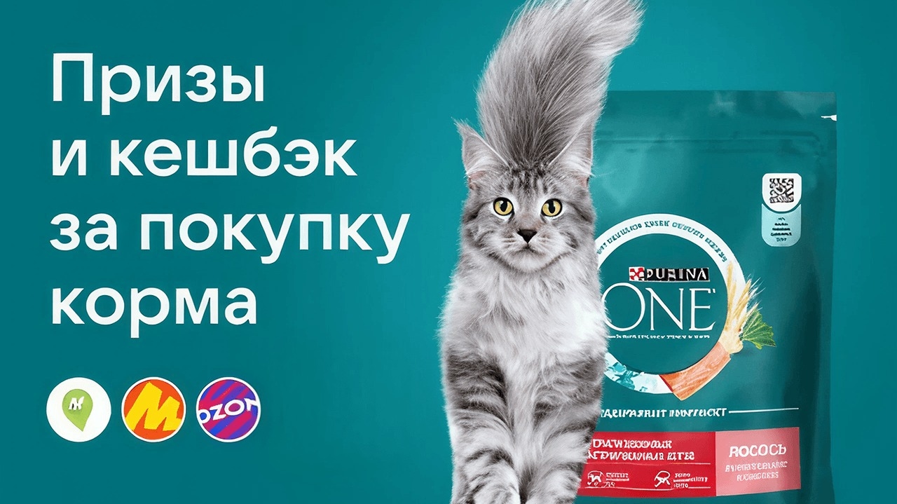 Миниатюра акции «Акция в сервисе VK Чекбэк: Категория корма для животных»