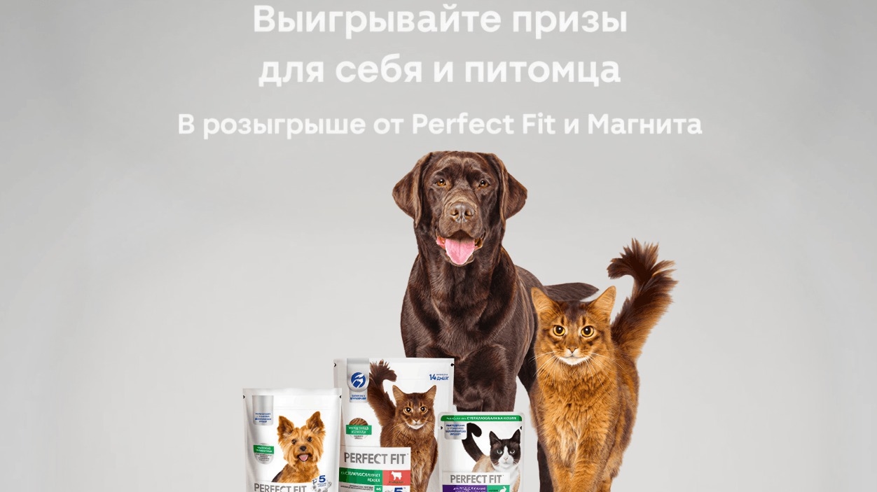 Миниатюра акции «Будьте уверены в здоровье питомца с Perfect Fit»