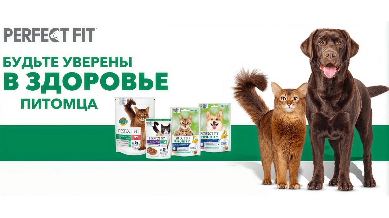 Миниатюра акции «Будьте уверены в здоровье питомца. 2026»