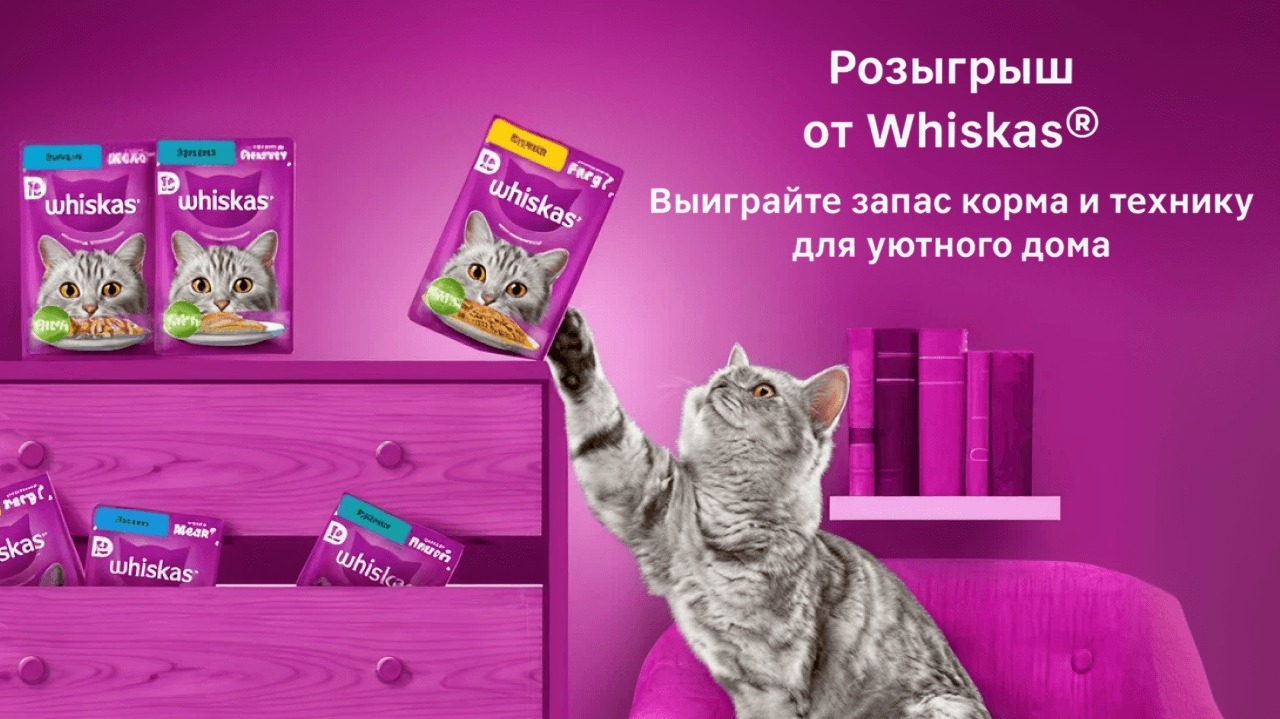 Миниатюра акции «Муррр, как вкусно!»
