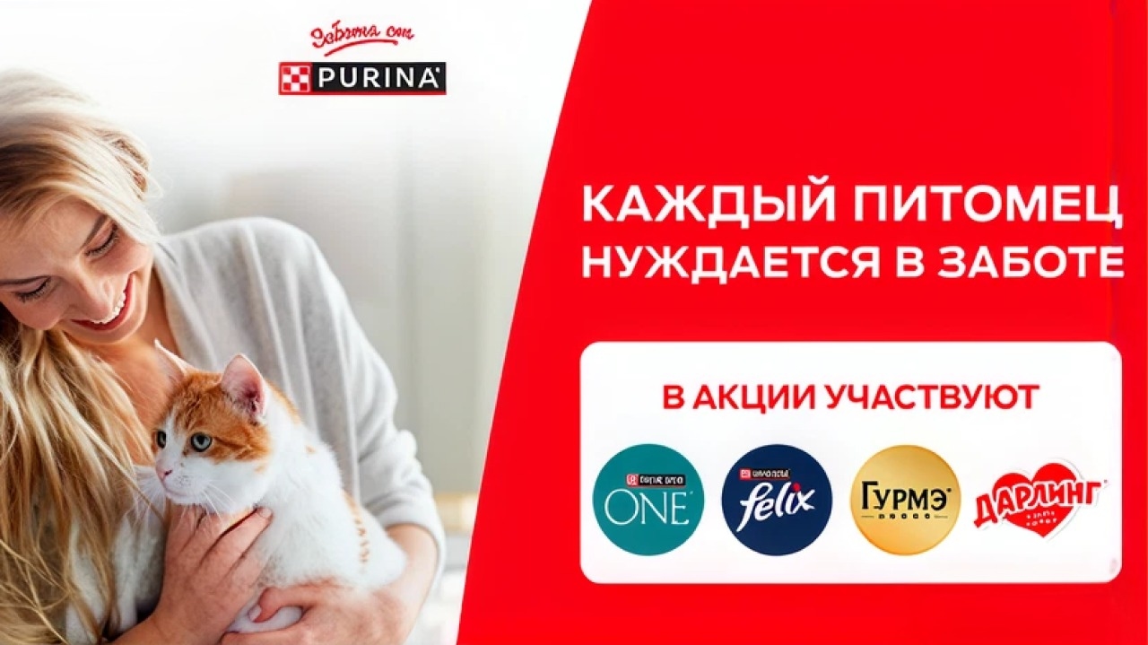 Миниатюра акции «Каждый питомец нуждается в заботе!»