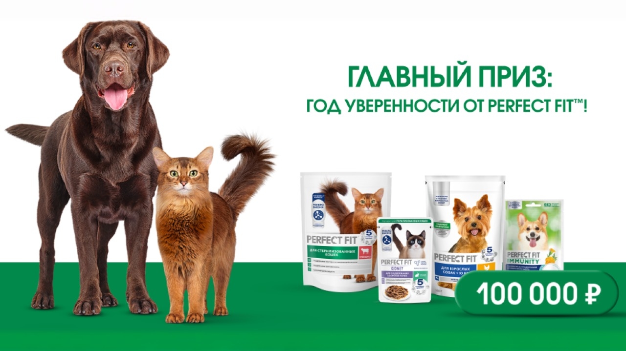 Миниатюра акции «Будьте уверены в здоровье питомца»