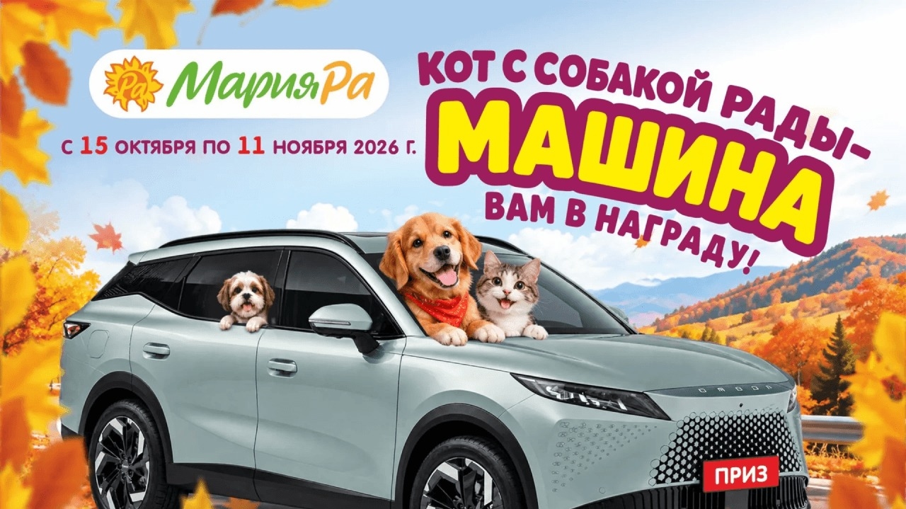 Миниатюра акции «Кот с собакой рады – машина вам в награду!»