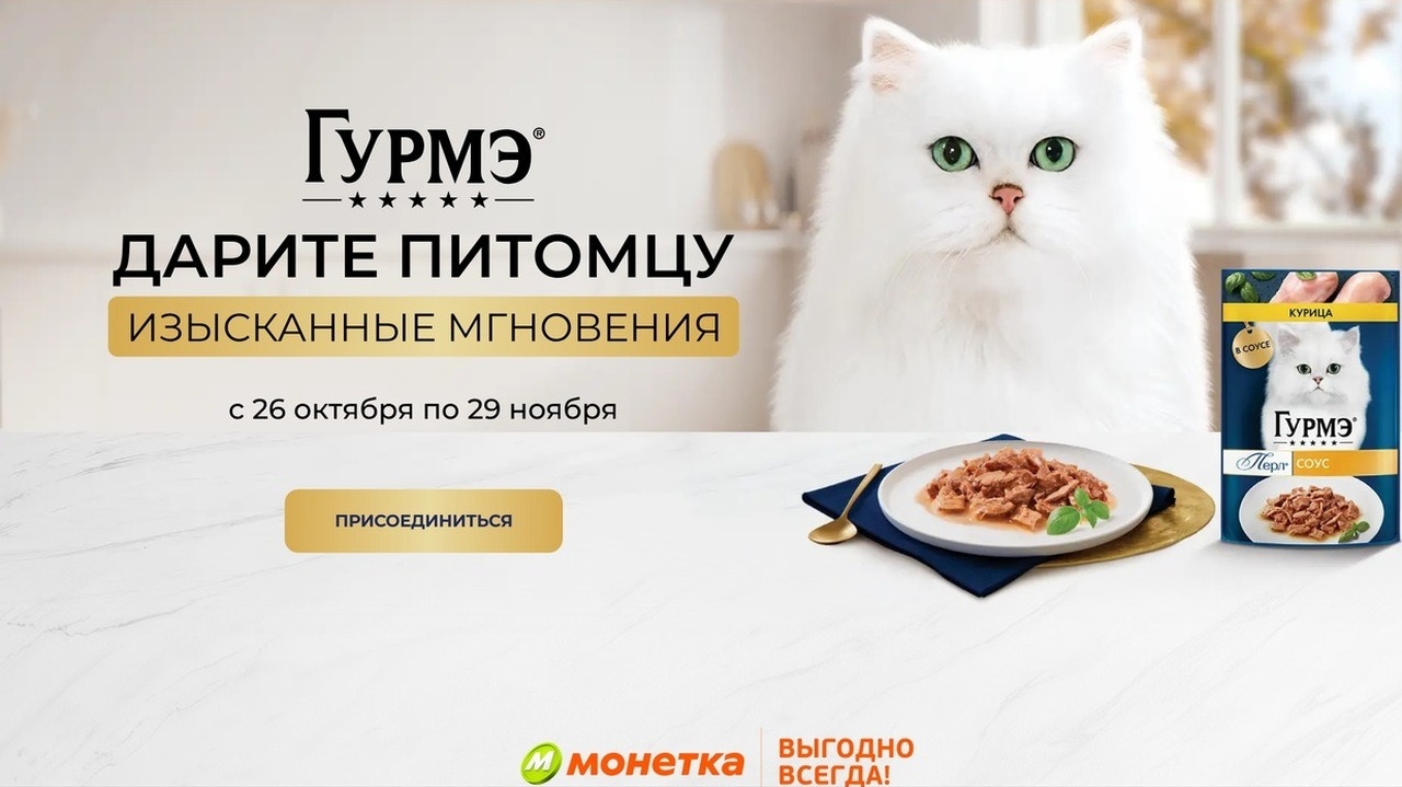Миниатюра акции «Дарите питомцу изысканные мгновения!»