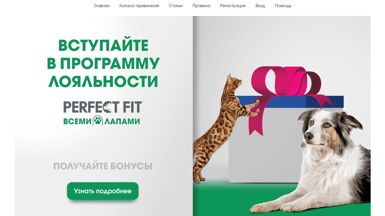 Изображение акции «Всеми лапами»