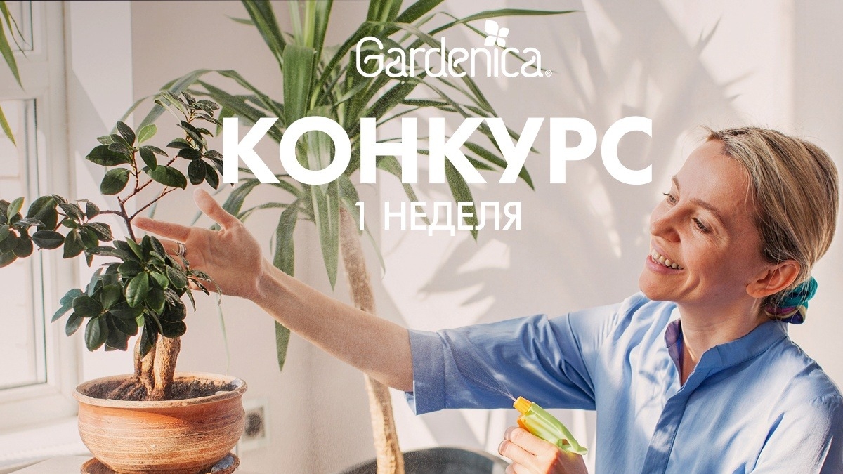 Изображение конкурса «Чистая весна с Gardenica»