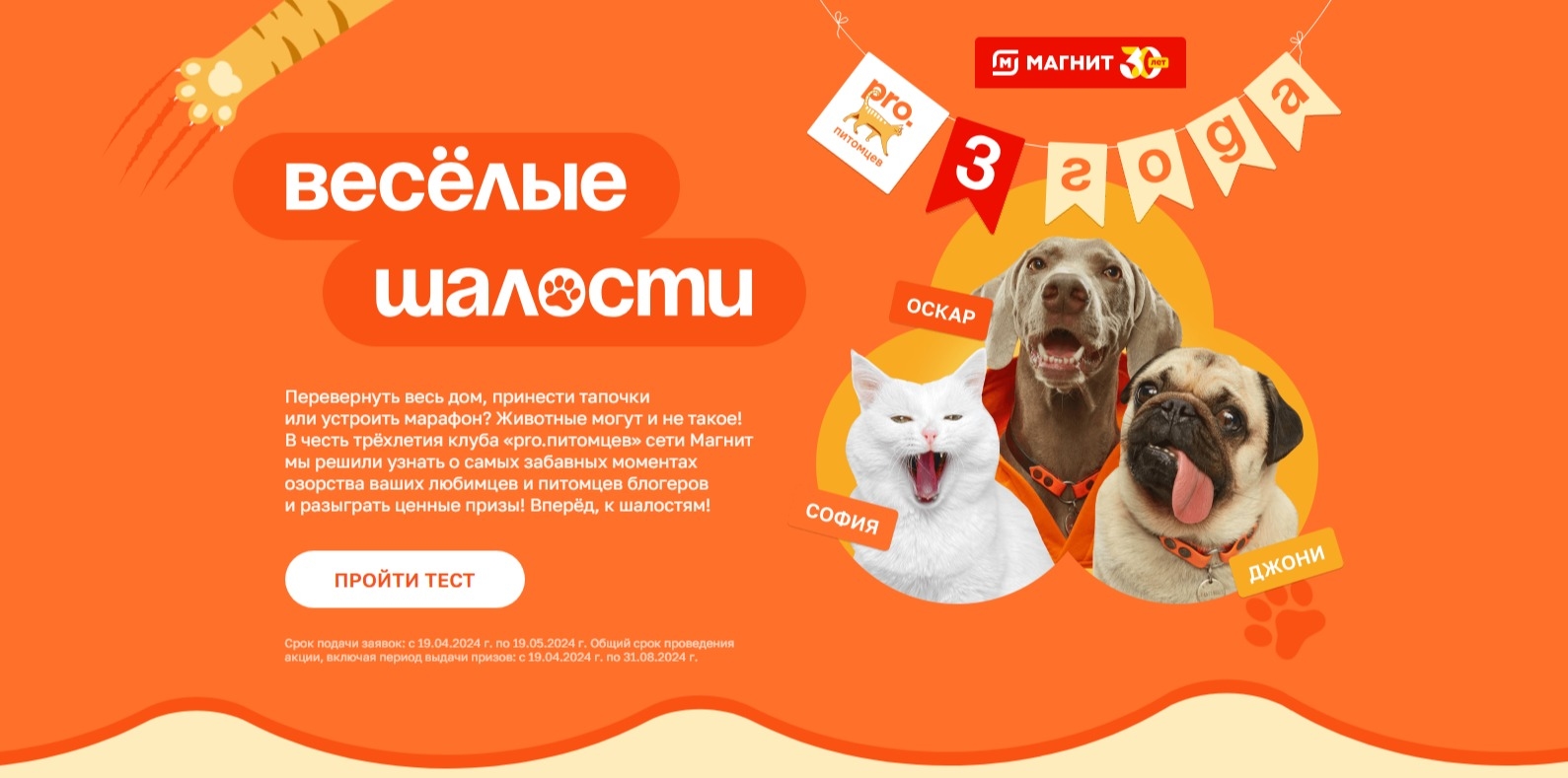 Акция :: «Веселые шалости» :: NaN Изображение акции «Веселые шалости»