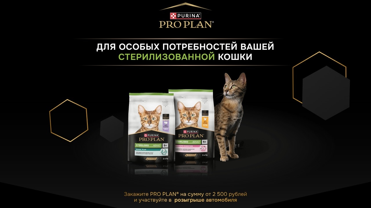 Акция :: «Розыгрыш автомобиля. Для особых потребностей вашей стерилизованной кошки» :: 2025 Изображение акции «Розыгрыш автомобиля. Для особых потребностей вашей стерилизованной кошки»