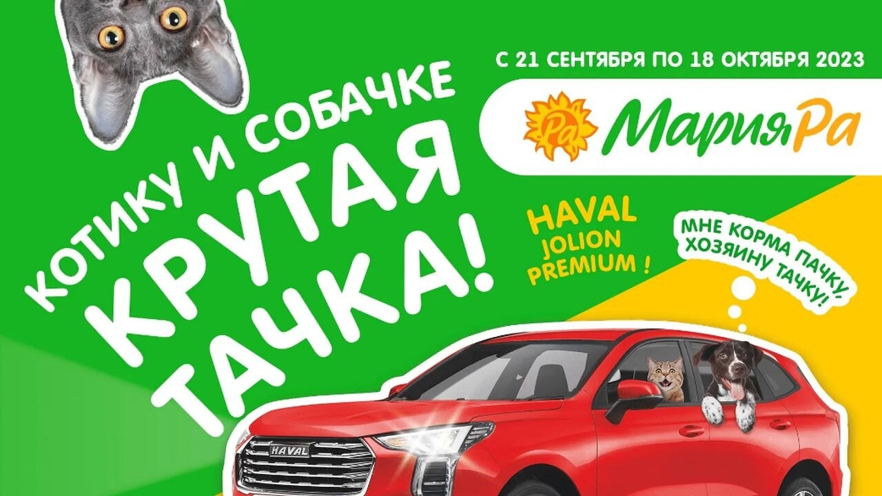 Акция :: «Котику и собачке крутую тачку!» :: NaN Изображение акции «Котику и собачке крутую тачку!»